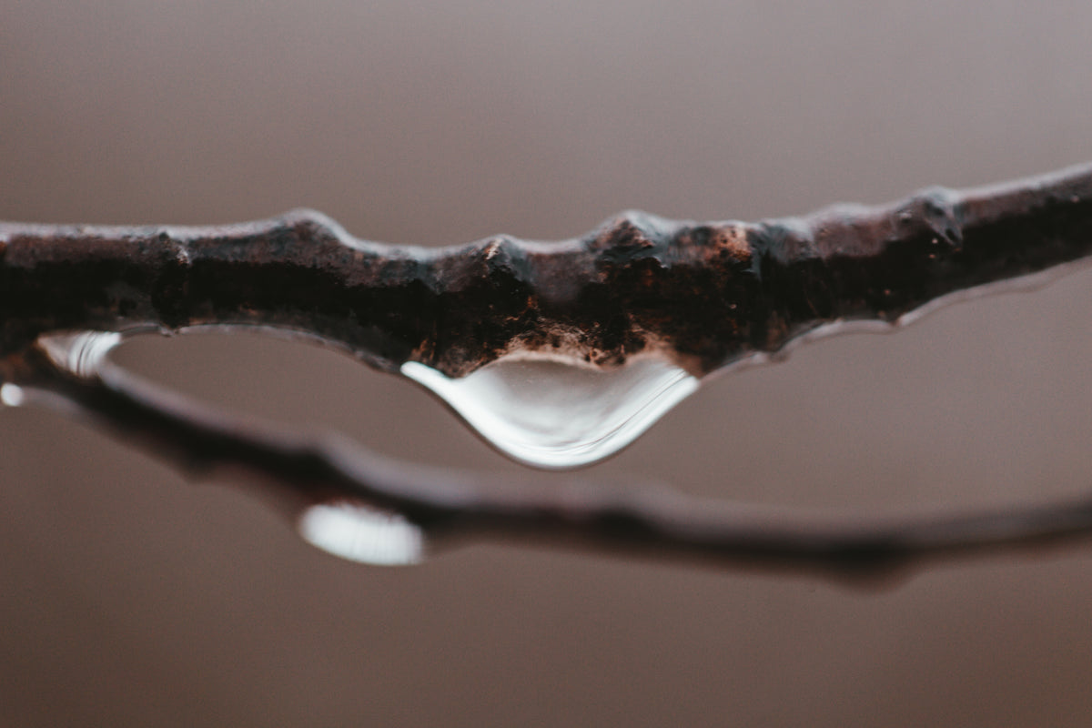 Temperature and humidity factors affecting atmospheric water generator production